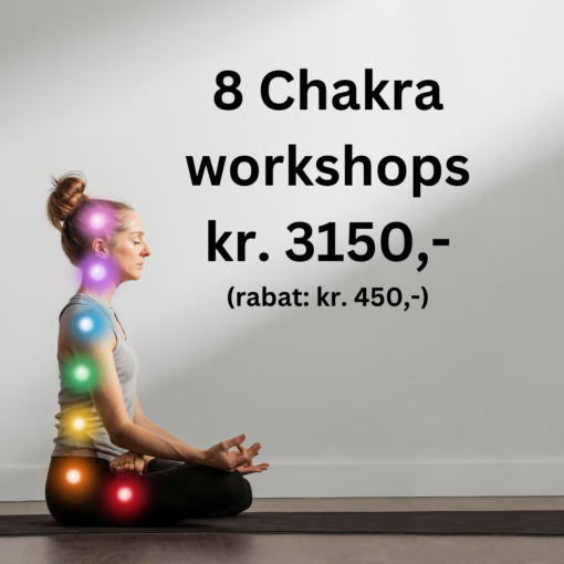 Alle 8 workshops med rabat